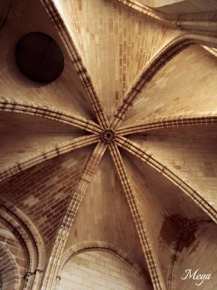 Notre Dame beauty 40.jpg