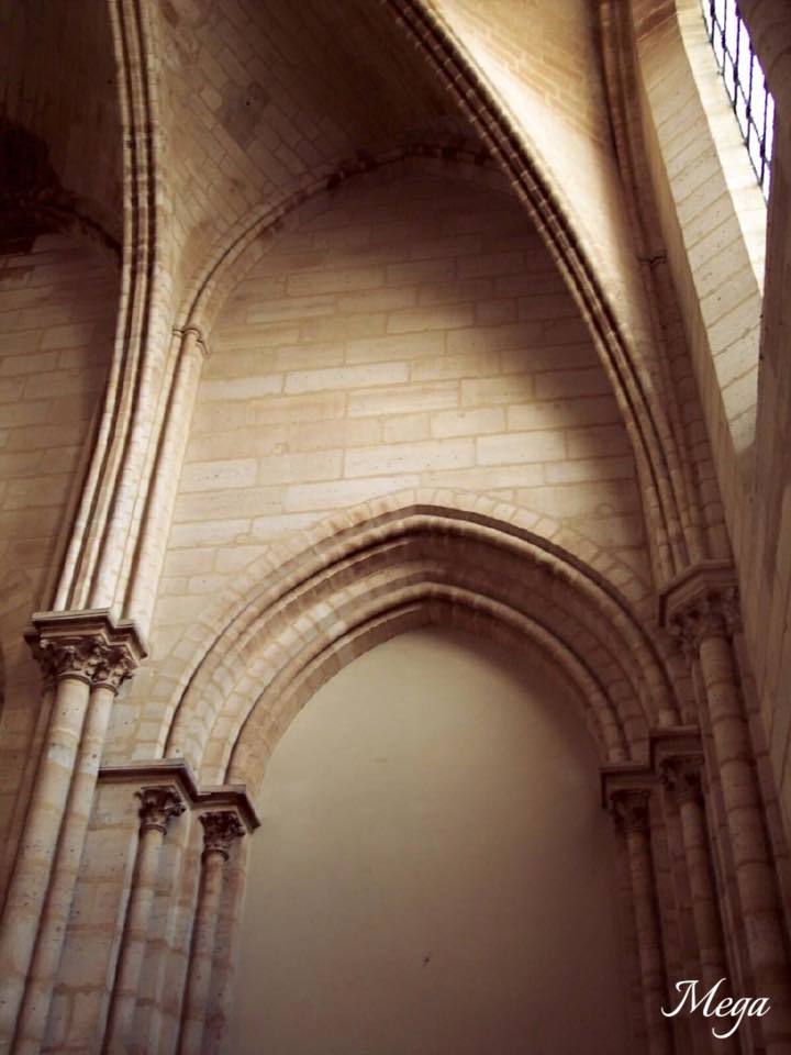 Notre Dame beauty 41.jpg