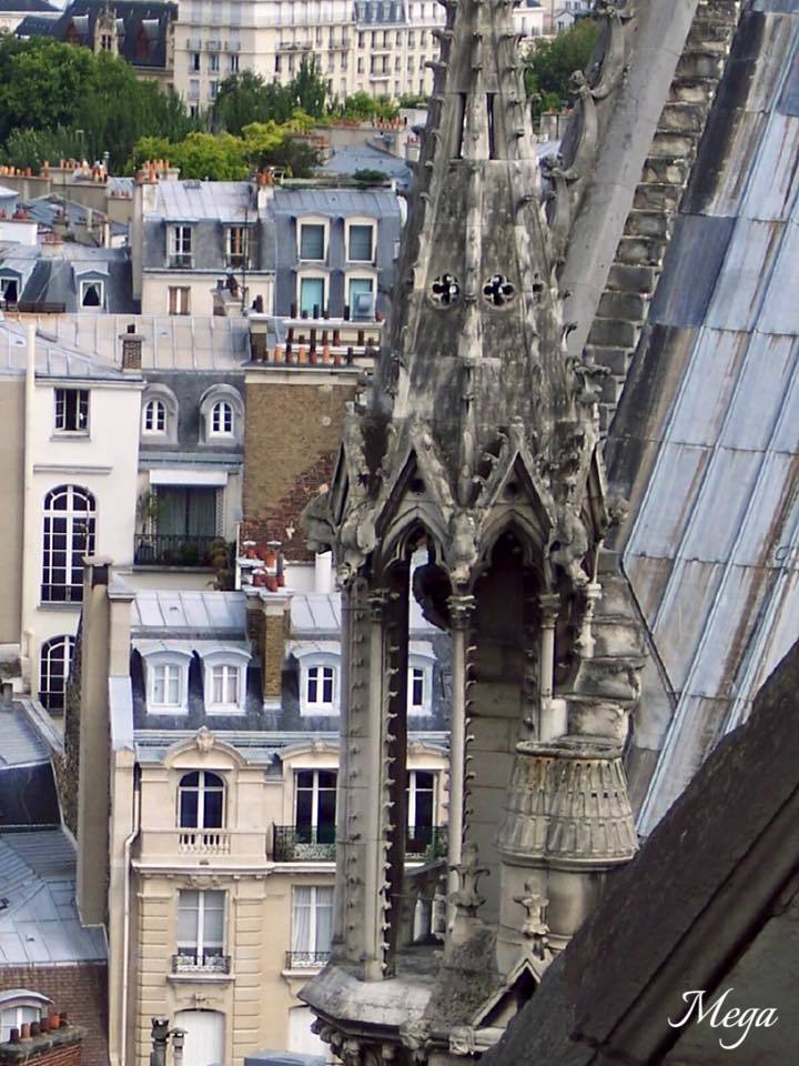 Notre Dame beauty 44.jpg