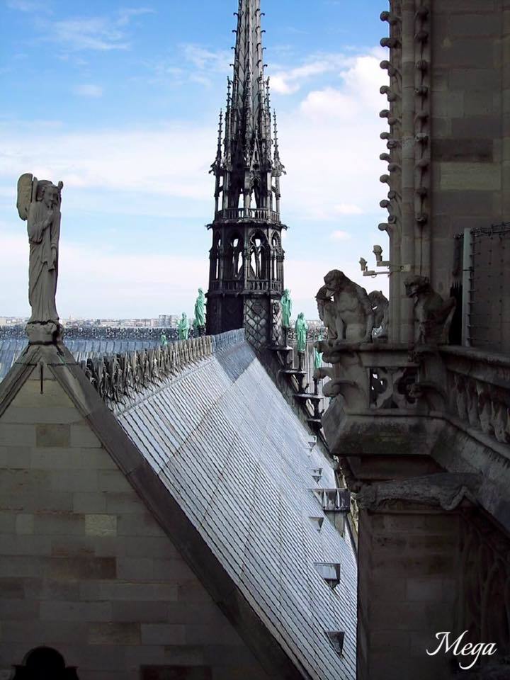 Notre Dame beauty 47.jpg
