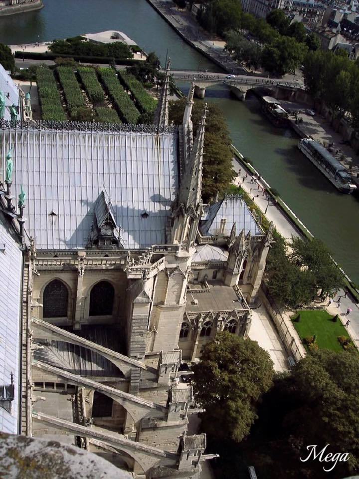 Notre Dame beauty 49.jpg