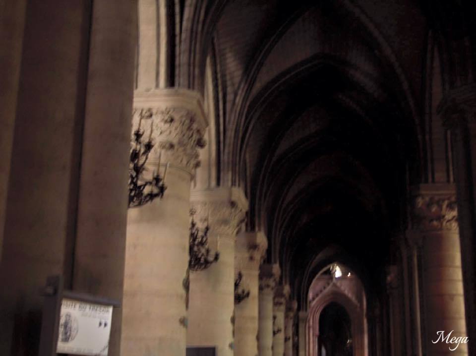 Notre Dame beauty 52.jpg