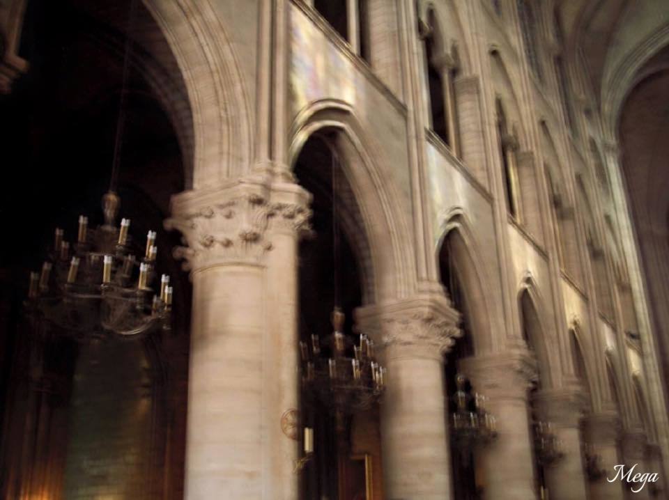 Notre Dame beauty 54.jpg