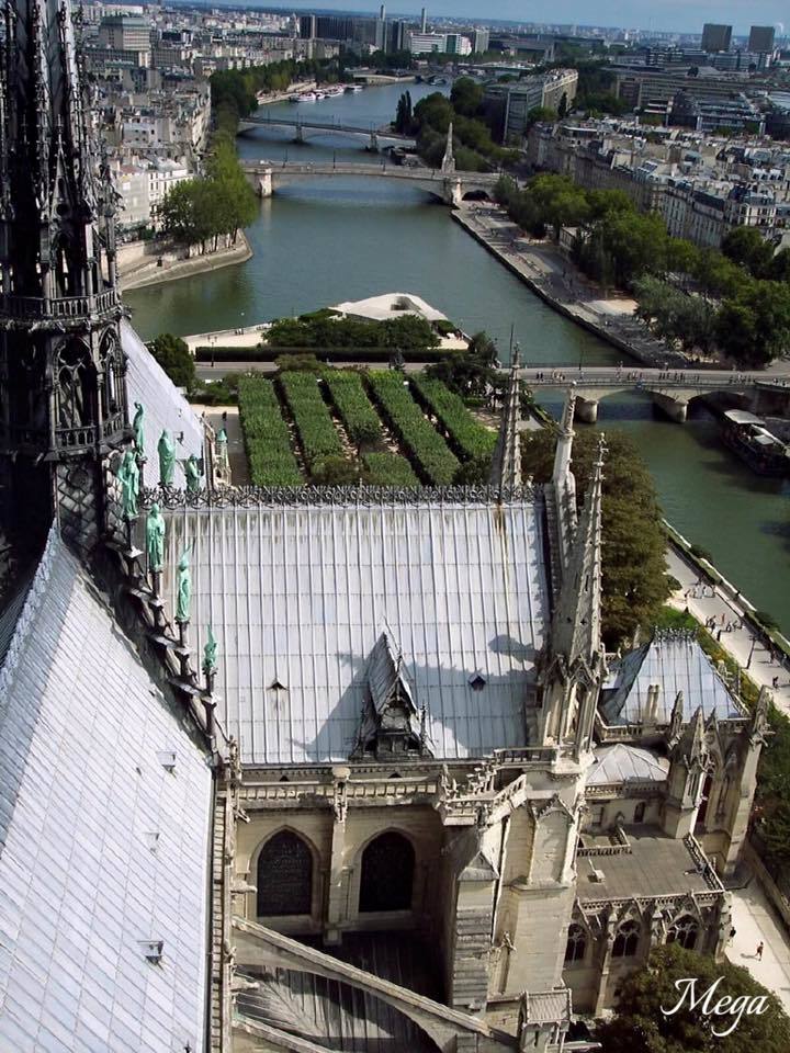 Notre Dame beauty 53.jpg