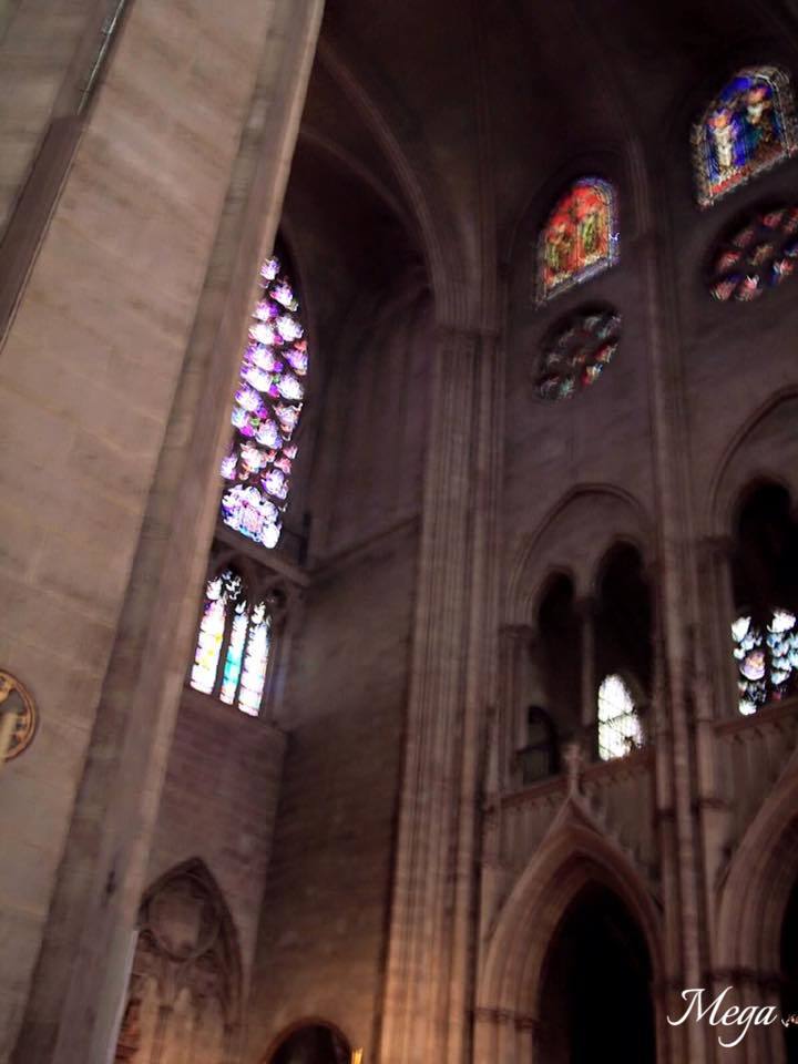 Notre Dame beauty 56.jpg