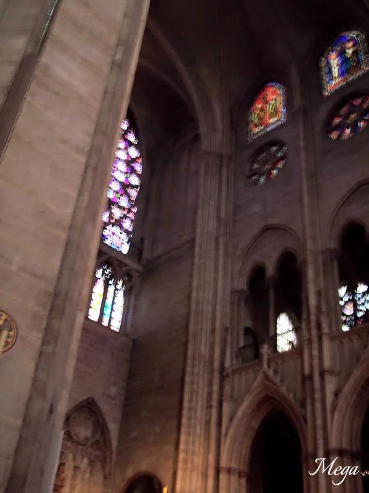 Notre Dame beauty 56.jpg