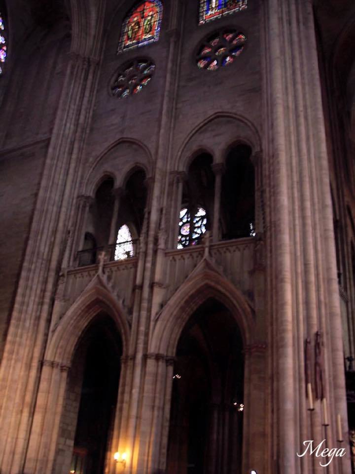 Notre Dame beauty 57.jpg