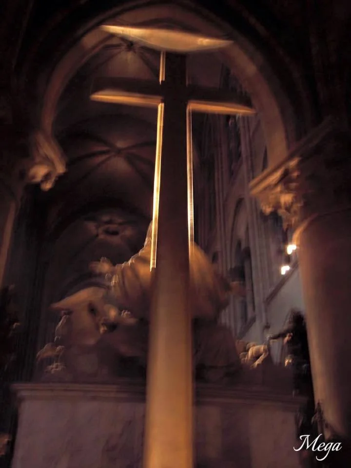 Notre Dame beauty 65.jpg