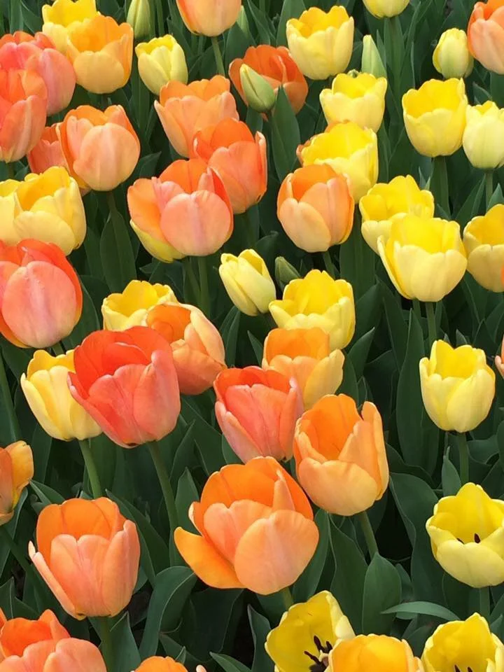 Spending Time with Nature