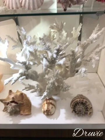 E9EF45E4-E115-40E0-9DD4-8C383AF2FD68-657-000000A42B5FFA58.jpeg
