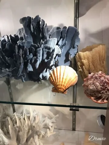C2C05A3E-E0AE-406D-BB28-AAB1A8997F26-2808-000001D31FF8F69F.jpeg