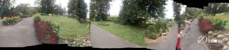 1206E020-431D-486E-8D22-608C307242D0-324-00000019872E33D7.jpeg