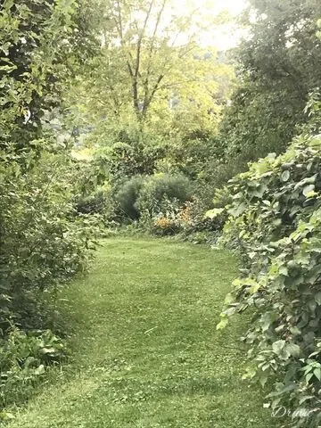 F0980189-8590-42A5-9EF9-D579F787347C-324-0000001A19F1AB09.jpeg
