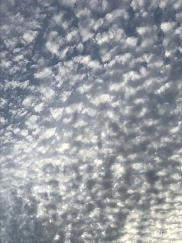 AEE40FFE-13E1-4E0D-827B-5D690E9C5019-324-0000001A4543B0B9.jpeg