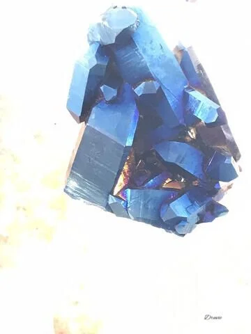 7B6F32C8-FE9E-4892-93A3-8D5AAD3B6E3C-283-0000000427E7C43F.jpeg