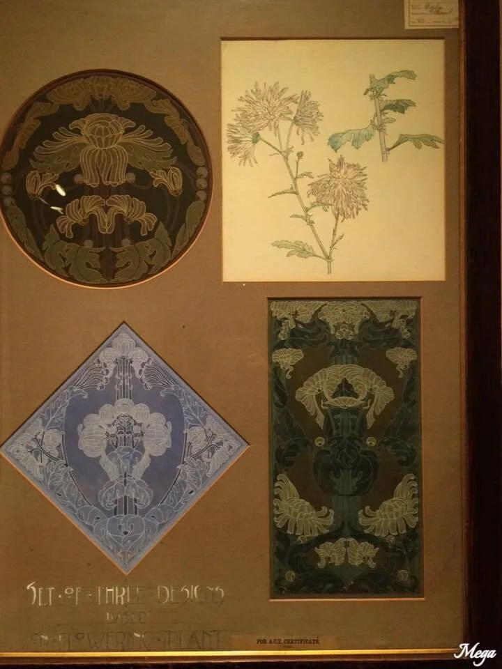 Set of 3 designs based on flowering plant