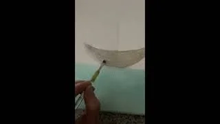 The Grenchus Foundation: Art Live 02/01/22