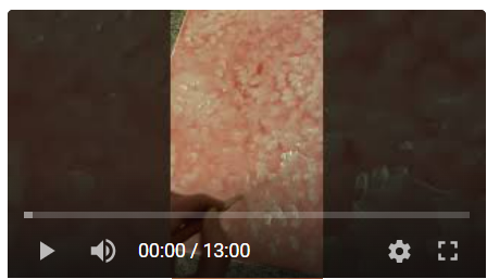 The Grenchus Foundation:  Art Live 04/07/2022