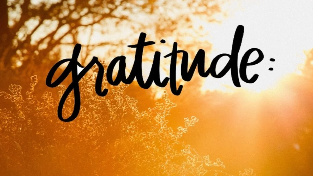 Module 1: Naikan Reflection  On Gratitude