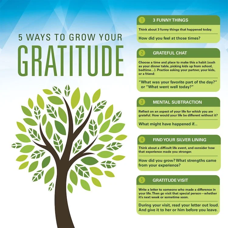 Module 2: Gratitude Journal  and Reflections 