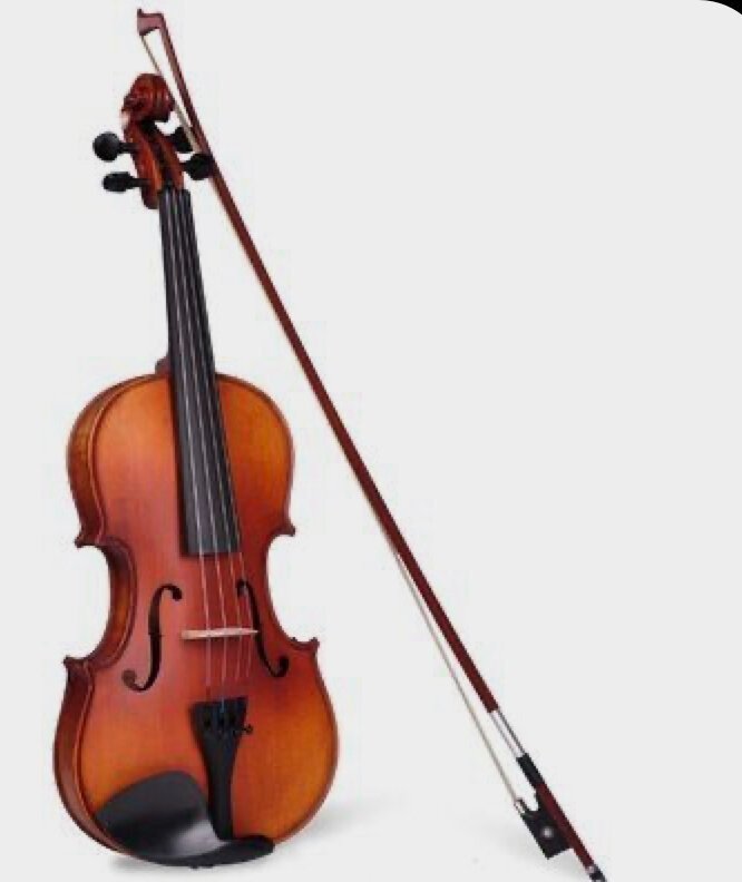 Violin Lessons with Carla Campopiano