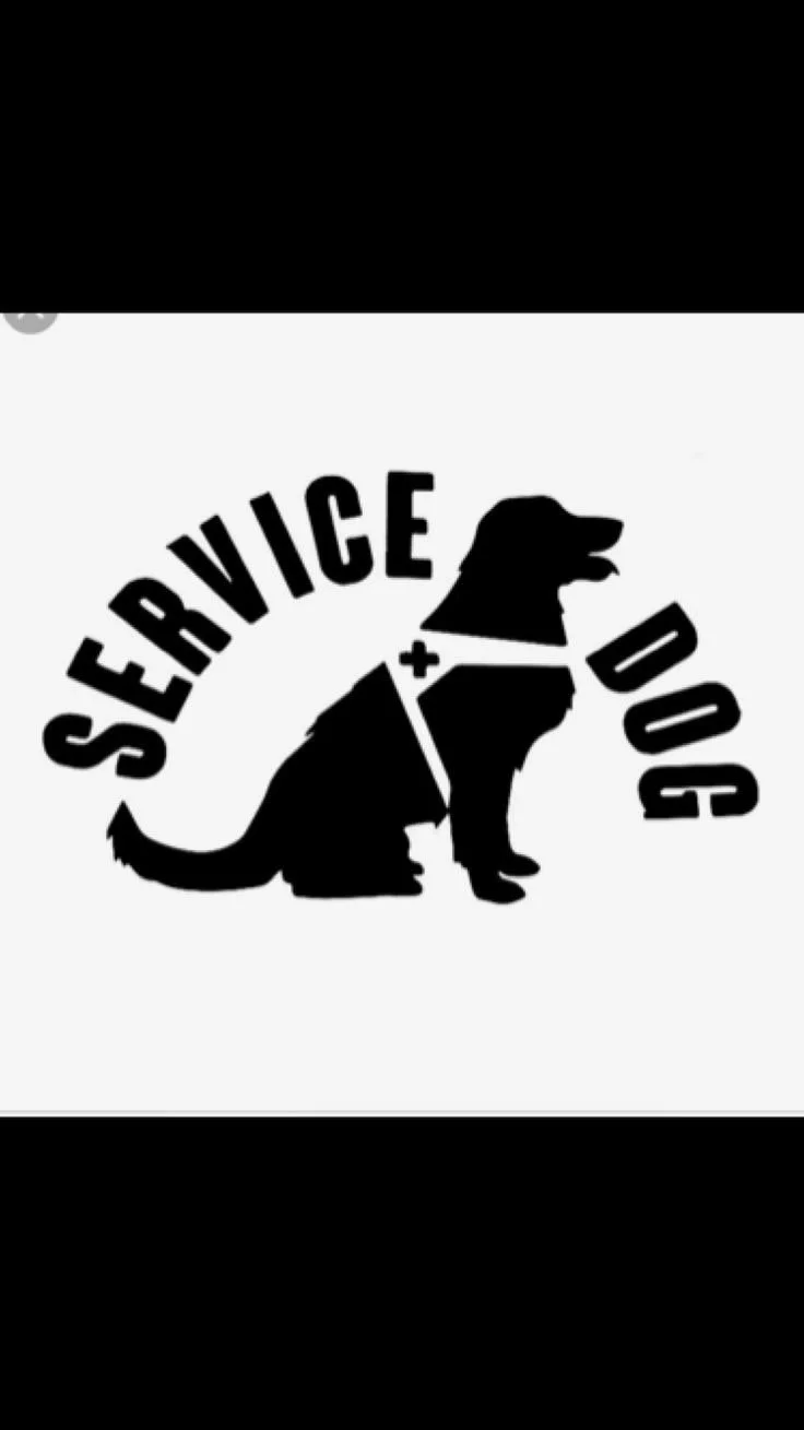 The Benefits of Having a Service Dog
