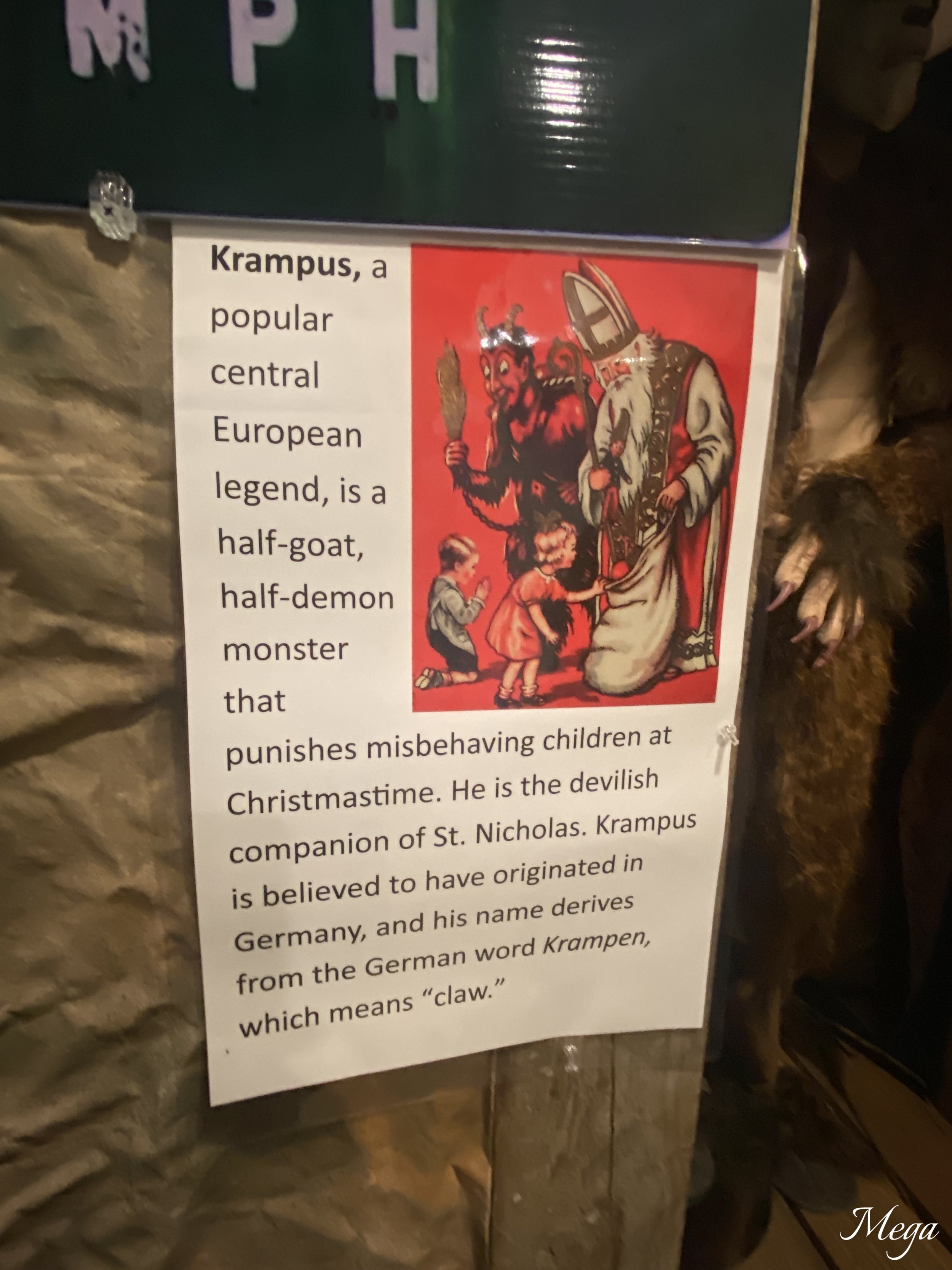 IMG_5047 (2).jpg