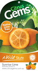 g-sunrise-lime.png