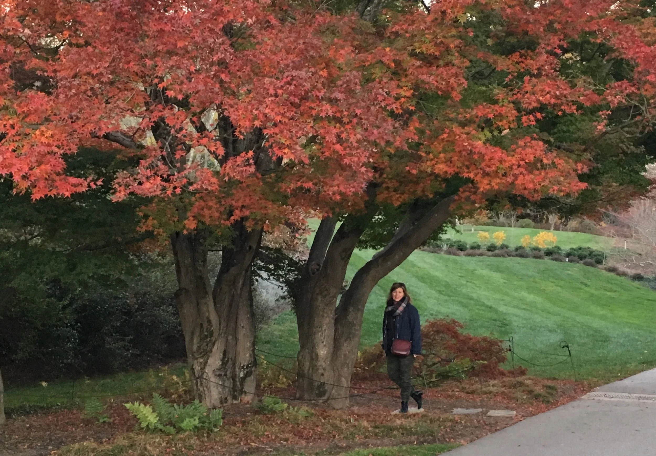 I love fall. Just thought you should know.