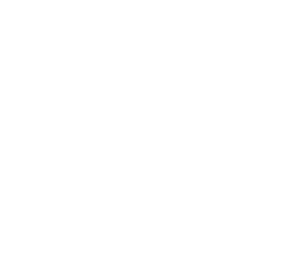 small star copy.png