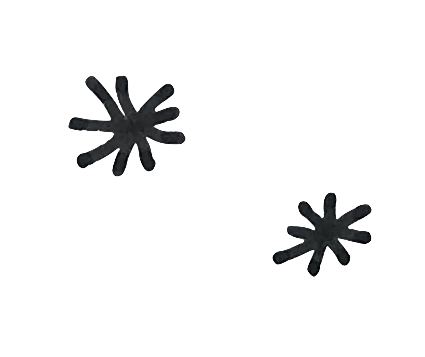 small star copy 3.png