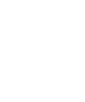 small star copy 4.png