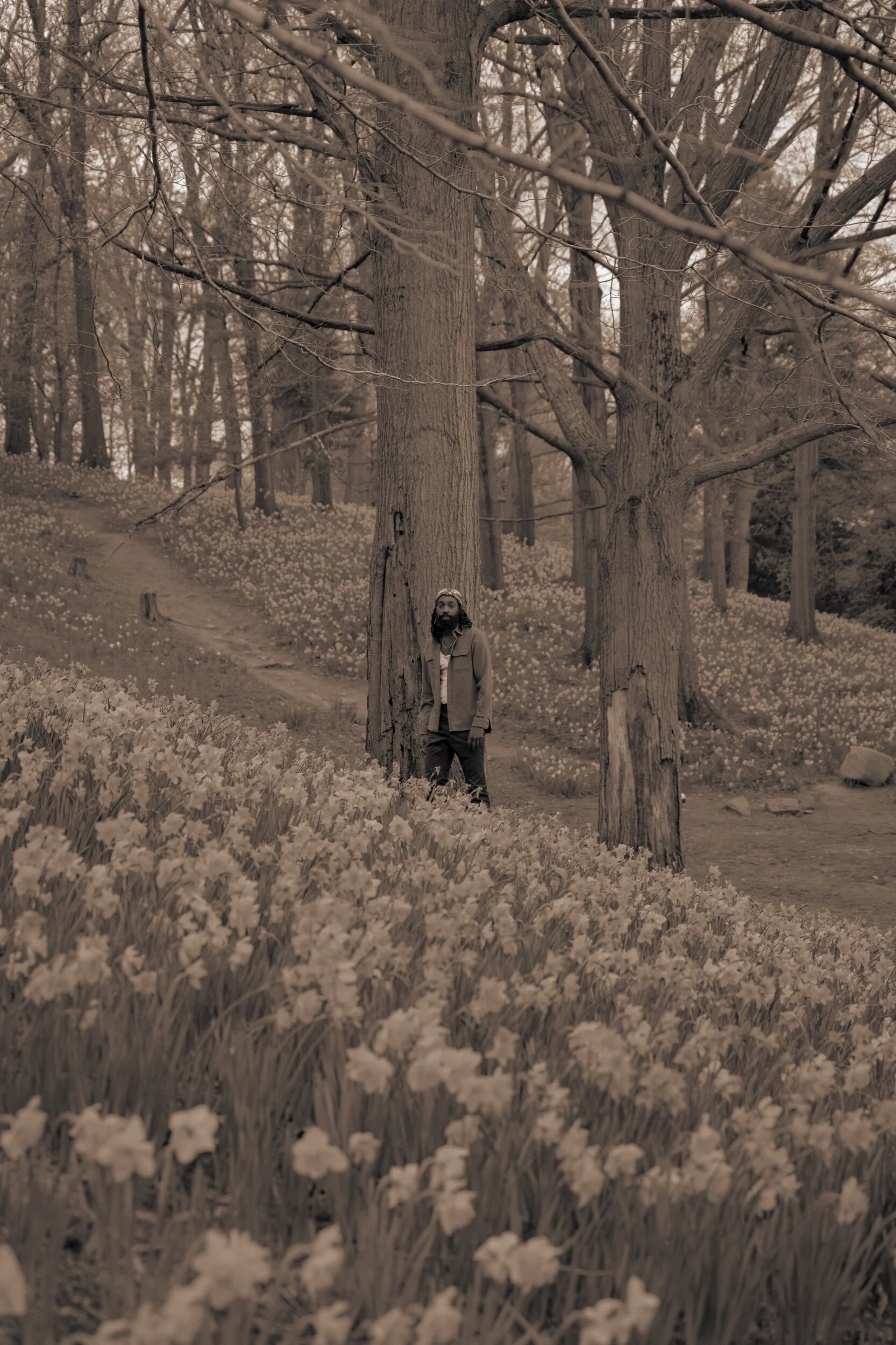 Rolling Stoned: Walking OG