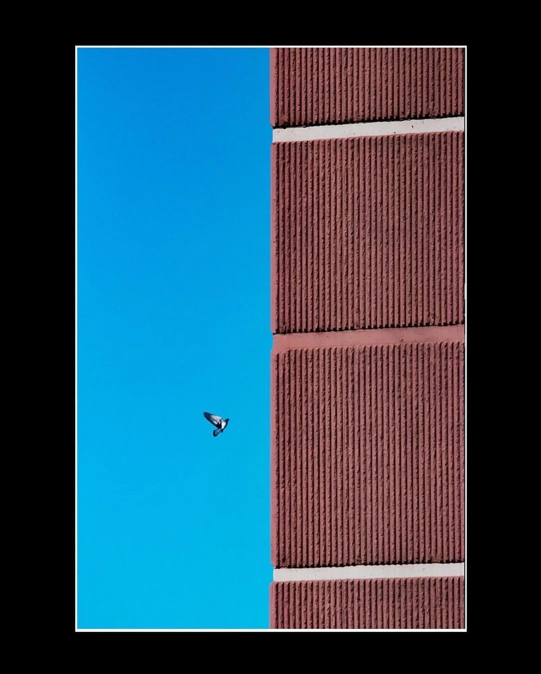 I Miss Outside|April 9, 2020