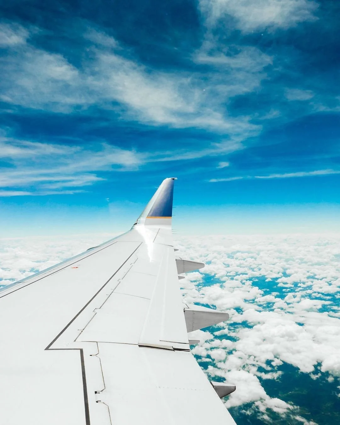 Masked Up High|June 11, 2020