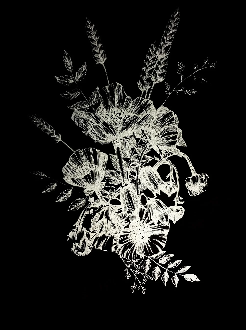 arcticflora copy.jpg