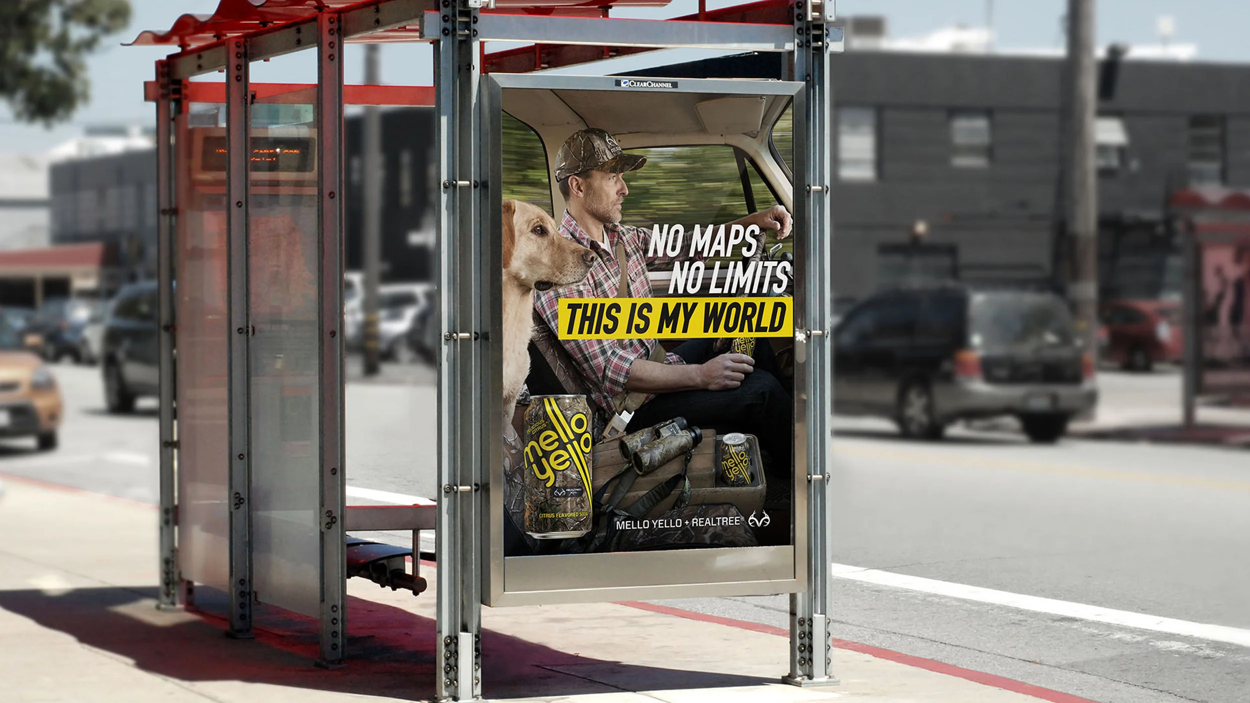 MY_Realtree-9.jpg