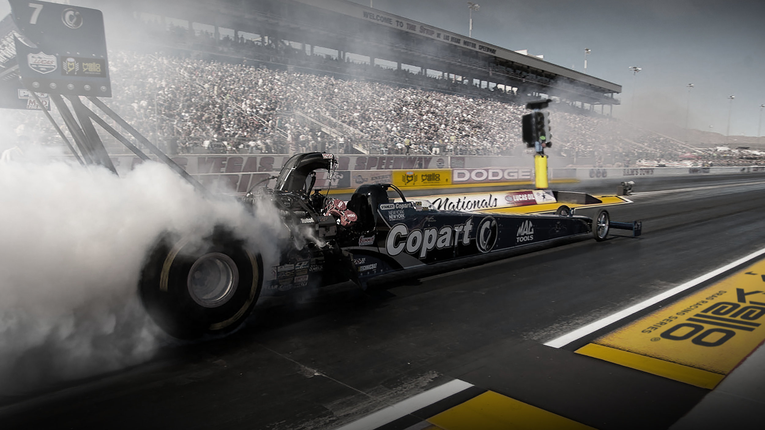 MelloYello-27.jpg