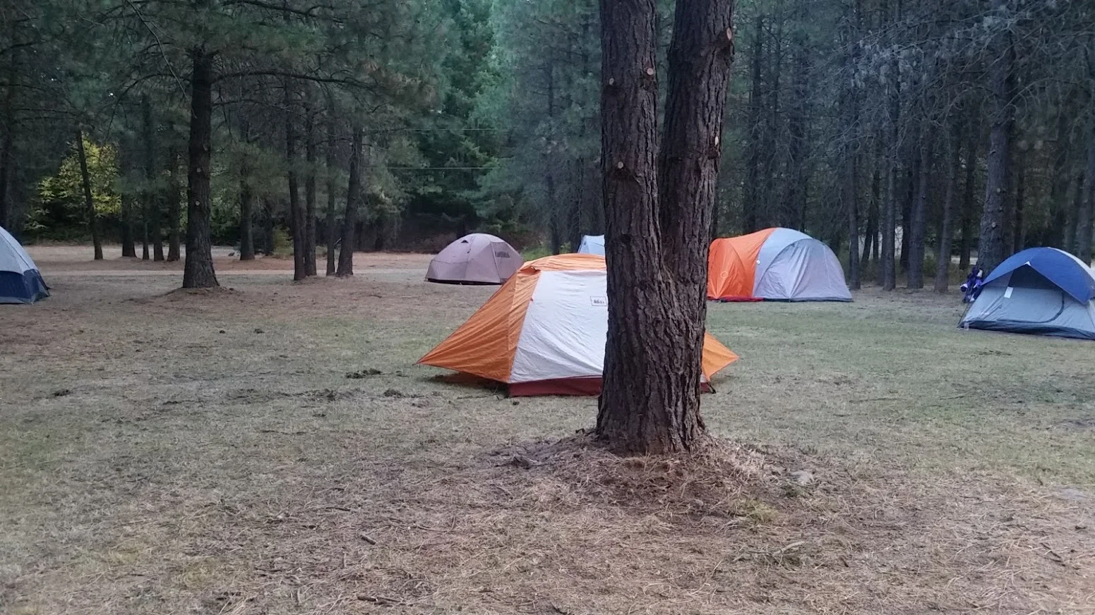 Tent & RV Park