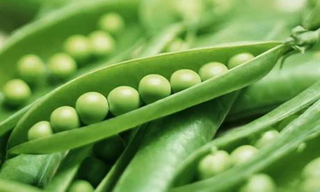 Peas-in-pods-006.jpg