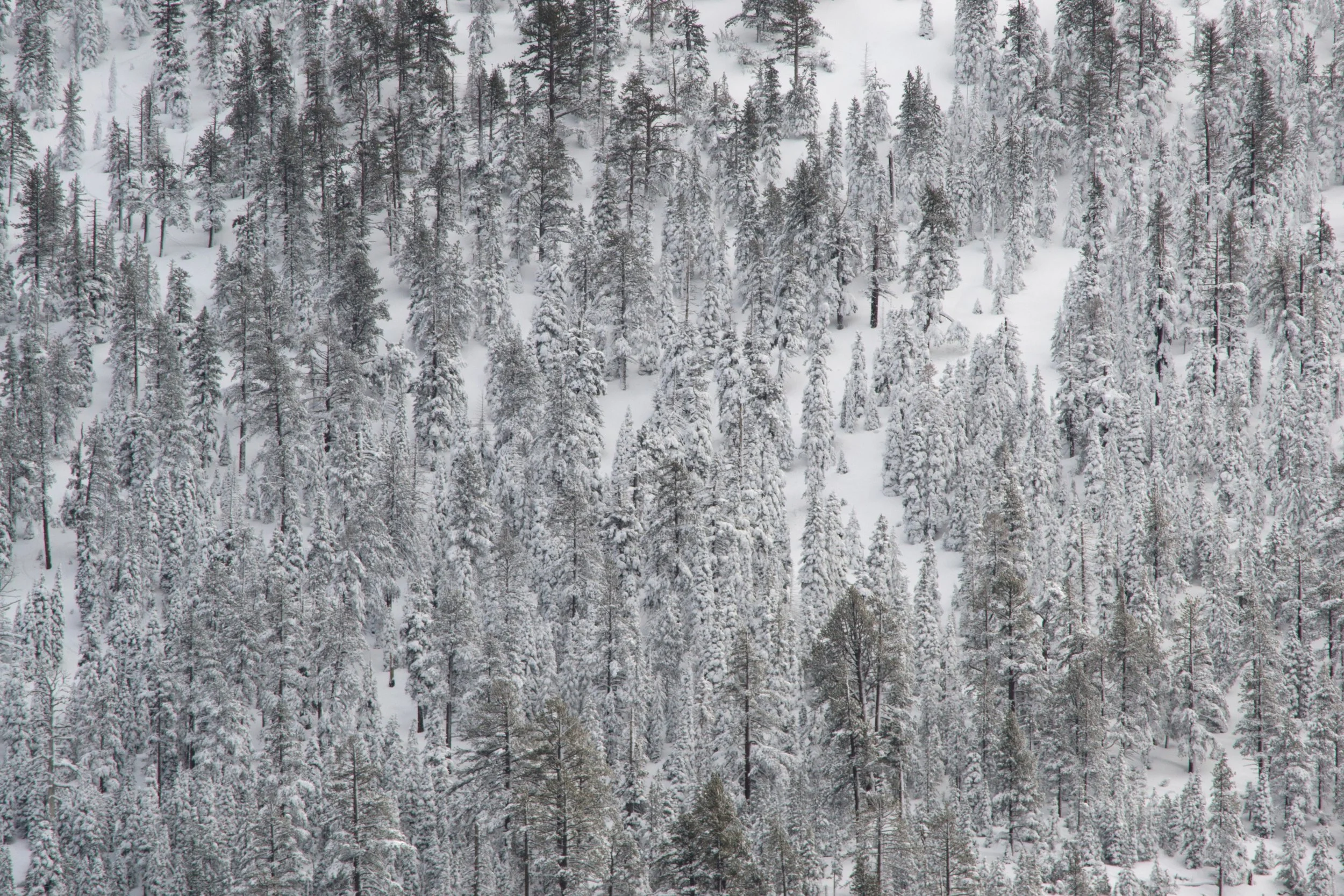 rebecca-maguire-468732-unsplash.jpg