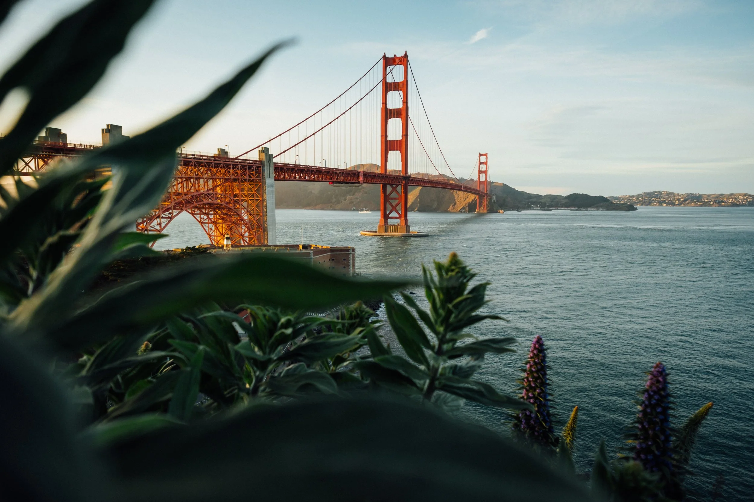 tim-foster-601009-unsplash.jpg
