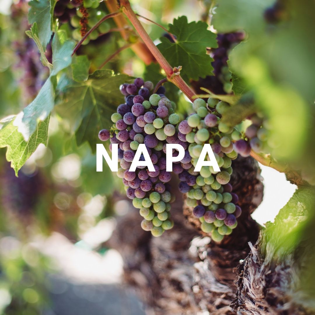  Our favorite activities in Napa! 