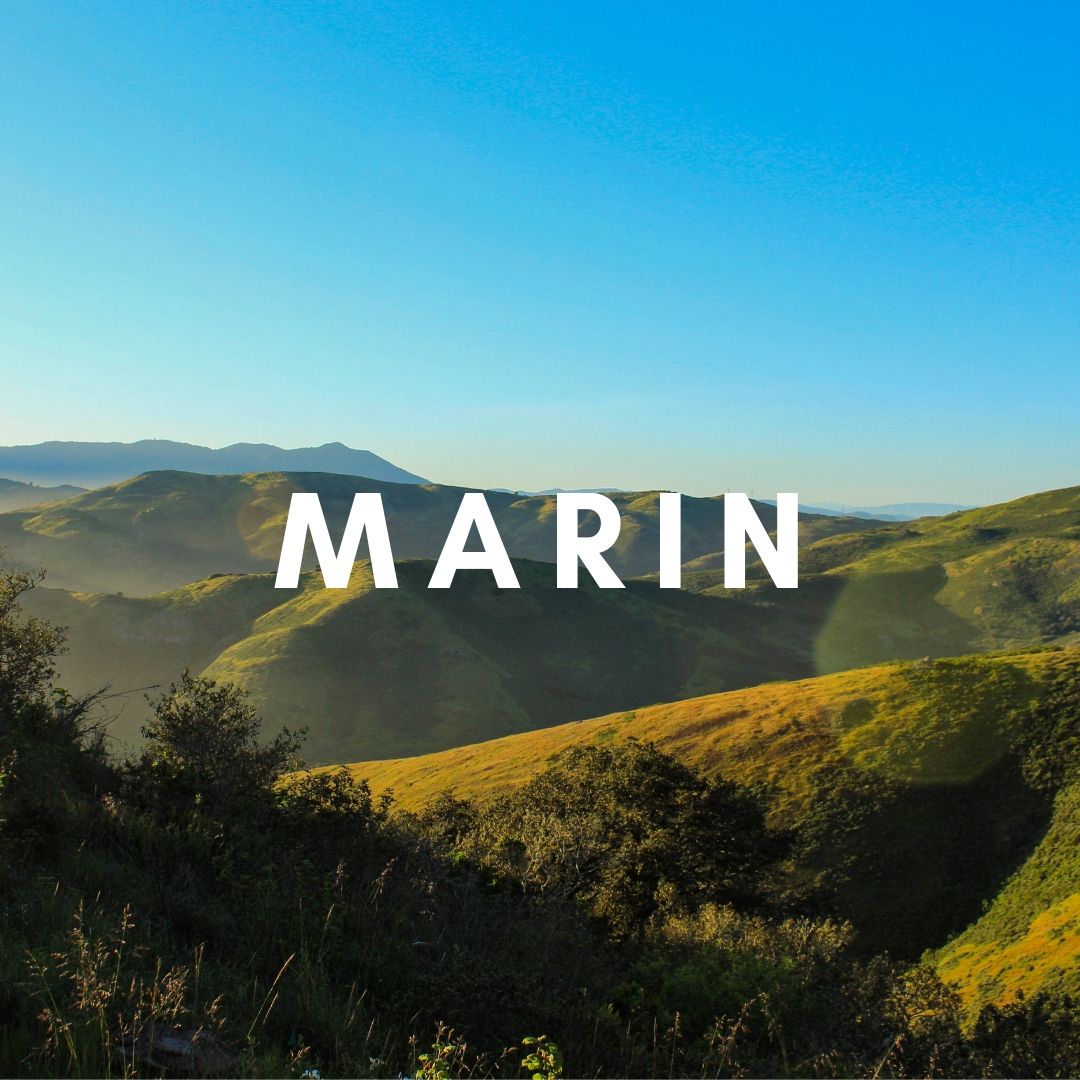  Our favorite activities in Marin! 