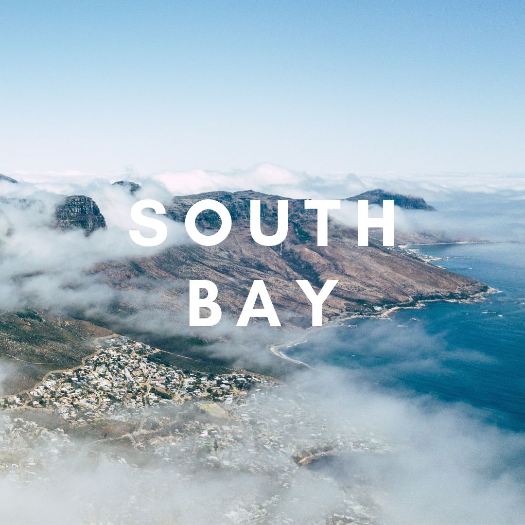  Our favorite activities in South Bay! 