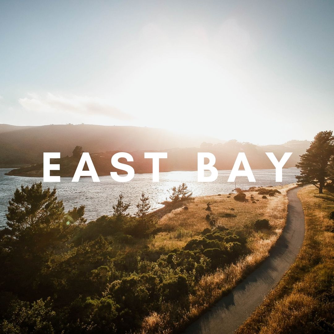  Our favorite activities in the East Bay! 