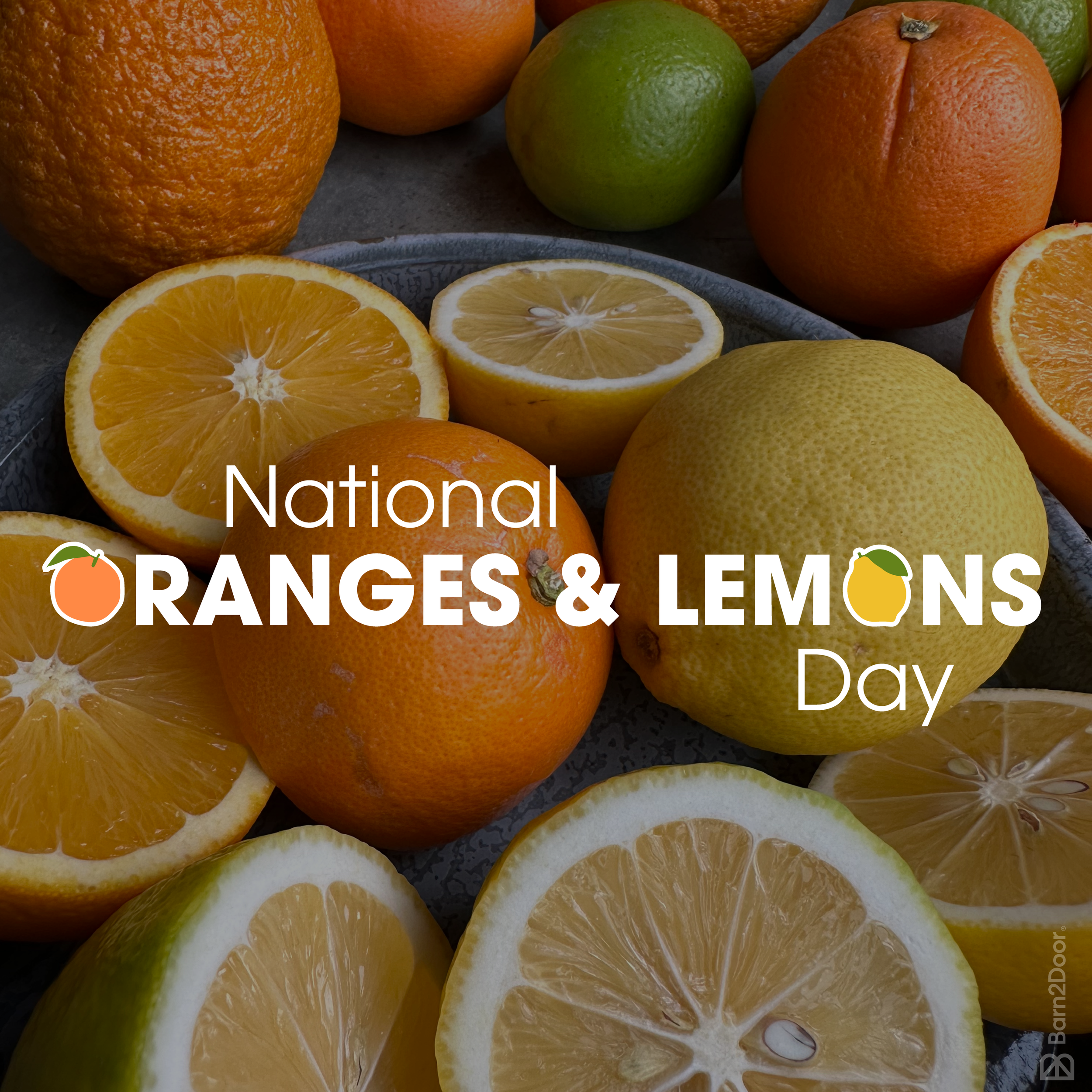 #3B_NationalOrange&LemonsDay_March2024_MarketingToolkit.png