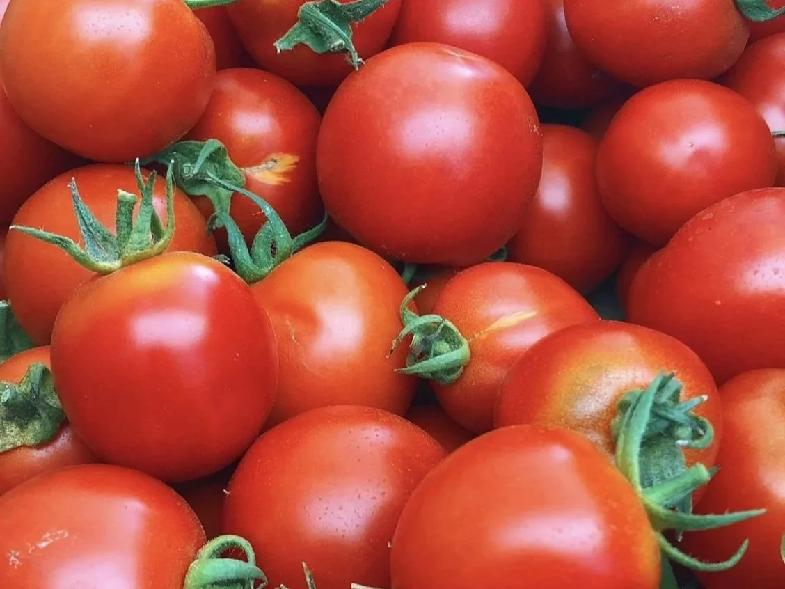 Close up of red ripe tomatoes