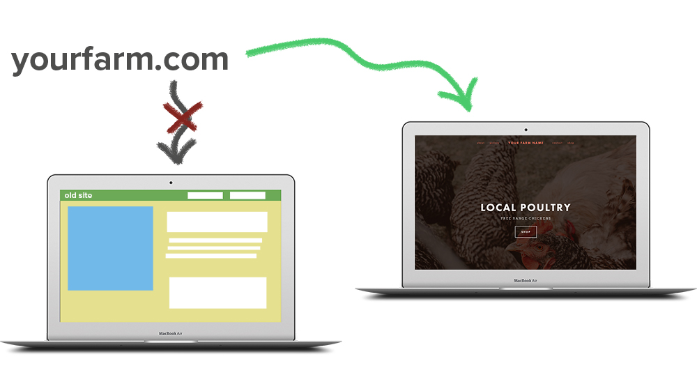 dns transfer example.jpg