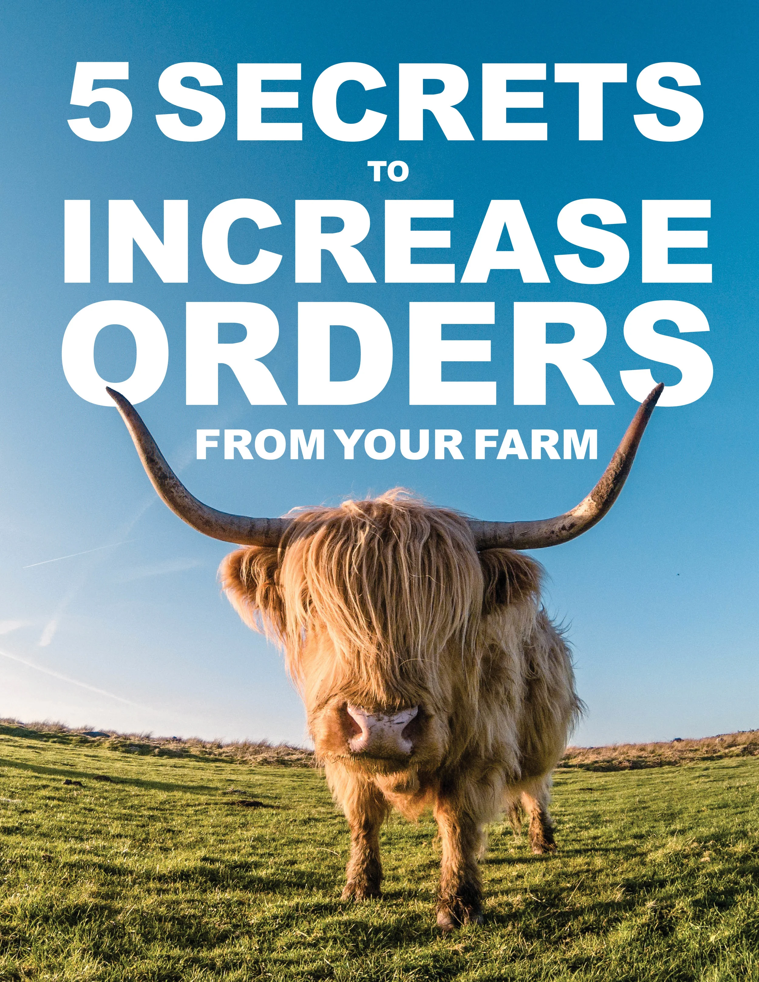 5 Secrets to Increase Sales.jpg